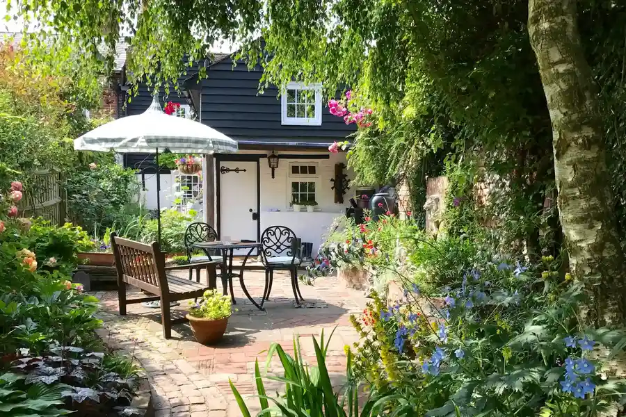 Professional Stump Grinding